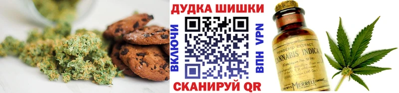 цены наркотик  Новоузенск  гидра ссылка  Cannafood конопля 