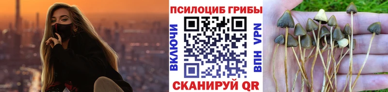 цена   ОМГ ОМГ как войти  Псилоцибиновые грибы Magic Shrooms  Новоузенск 